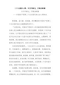 二十大报告心得日月开新元万象启新篇