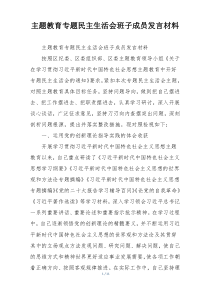 主题教育专题民主生活会班子成员发言材料