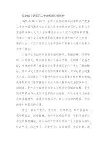 党支部书记党的二十大收看心得体会