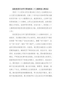 医院党委书记学习贯彻党的二十大精神谈心得体会