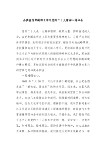 县委宣传部副部长学习党的二十大精神心得体会