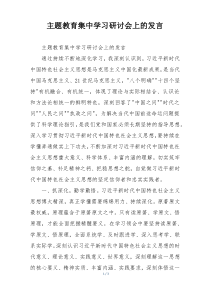 主题教育集中学习研讨会上的发言