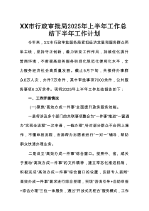 XX市行政审批局2025年上半年工作总结下半年工作计划