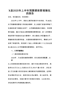 X县2025年上半年预算绩效管理情况的报告