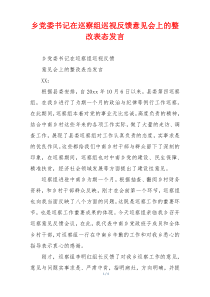 乡党委书记在巡察组巡视反馈意见会上的整改表态发言