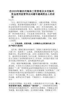 在2025年镇农村集体三资管理及乡村振兴资金使用监管突出问题专题调度会上的讲话