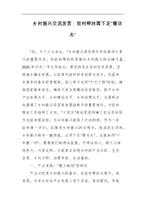 乡村振兴交流发言驻村帮扶需下足慢功夫
