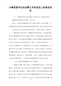 乡镇党委书记在巡察工作动员会上的表态发言