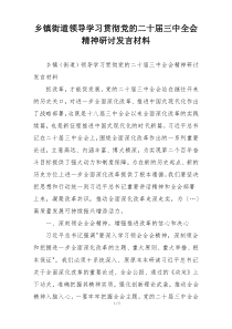 乡镇街道领导学习贯彻党的二十届三中全会精神研讨发言材料