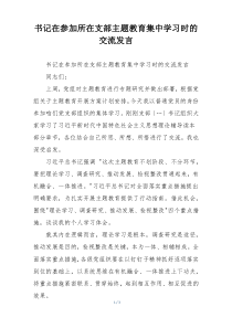 书记在参加所在支部主题教育集中学习时的交流发言