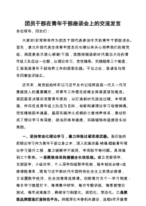 交流发言：青年干部座谈会（团员干部）