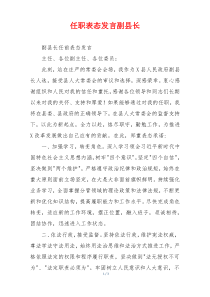 任职表态发言副县长