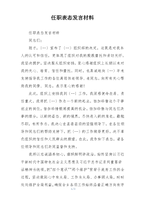 任职表态发言材料