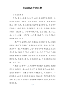 任职表态发言汇集