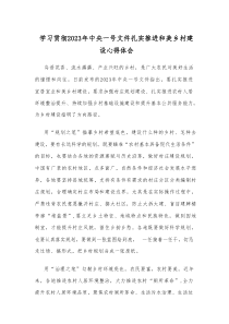 学习贯彻20XX年中央一号文件扎实推进和美乡村建设心得体会