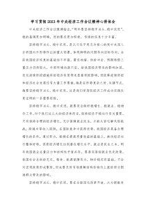 学习贯彻20XX年中央经济工作会议精神心得体会