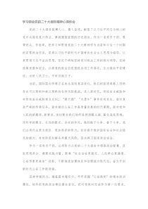 学习领会党的二十大报告精神心得体会