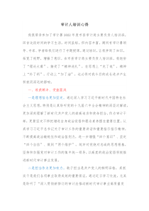 审计人培训心得