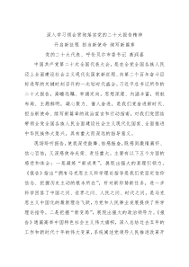 市委书记学习党的二十大报告精神心得体会