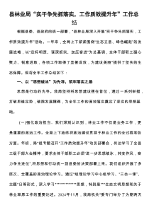 县林业局“实干争先抓落实，工作质效提升年”工作总结