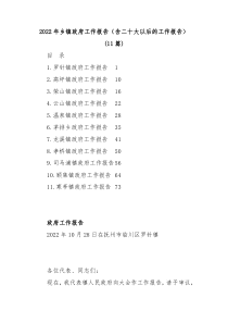 11篇20XX年乡镇政府工作报告含二十大以后的工作报告