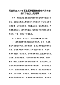 在2025年夏收夏种暨秸秆综合利用和禁烧工作会议上的讲话（县长）