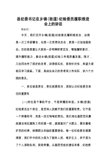 在乡镇（街道）纪检委员履职推进会上的讲话（纪委书记）
