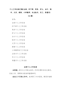 12篇个人工作总结汇编出纳村干部党务护士会计秘书文员销售小学教师专业技术员工质量员