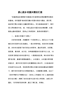 抓党建促乡村振兴情况汇报