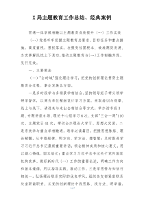 X局主题教育工作总结、经典案例