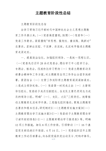 主题教育阶段性总结