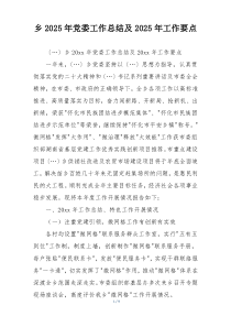 乡2025年党委工作总结及2025年工作要点