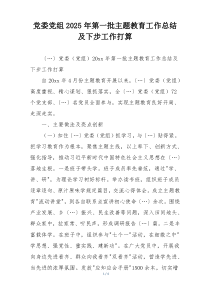 党委党组2025年第一批主题教育工作总结及下步工作打算