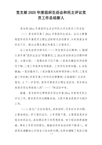 党支部2025年度组织生活会和民主评议党员工作总结新人
