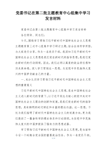 党委书记在第二批主题教育中心组集中学习发言材料