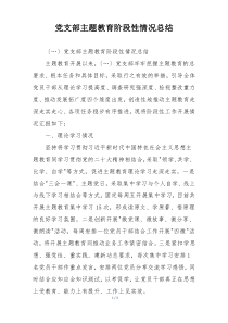党支部主题教育阶段性情况总结