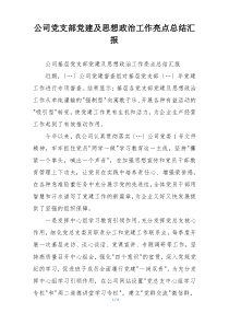 公司党支部党建及思想政治工作亮点总结汇报