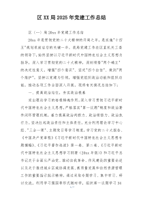 区XX局2025年党建工作总结