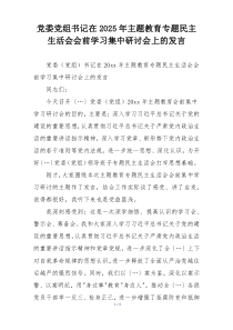 党委党组书记在2025年主题教育专题民主生活会会前学习集中研讨会上的发言