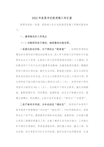 20XX年县委书记抓党建工作汇报