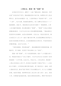 心得体会愿做一棵焦桐树