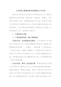 公司党委主题教育督导进展情况工作汇报