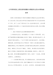 公司领导落实上级党委巡察整改专题组织生活会对照检查材料