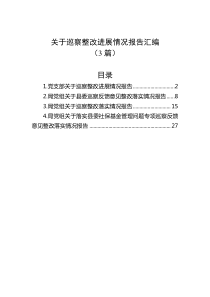 3篇关于巡察整改进展情况报告汇编