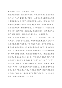 盛会心得体会3