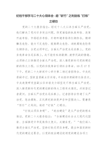 纪检干部学习二十大心得体会磨斩竹之利剑练打铁之硬功
