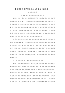 青年党员干部学习盛会心得体会