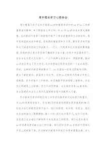 青年理论学习心得体会