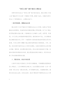 青马工程集中培训心得体会