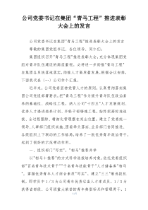 公司党委书记在集团“青马工程”推进表彰大会上的发言